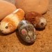 Painted Hamster and Mouse Pet Rock