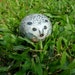 Hedgehog Handpainted Pet Rock