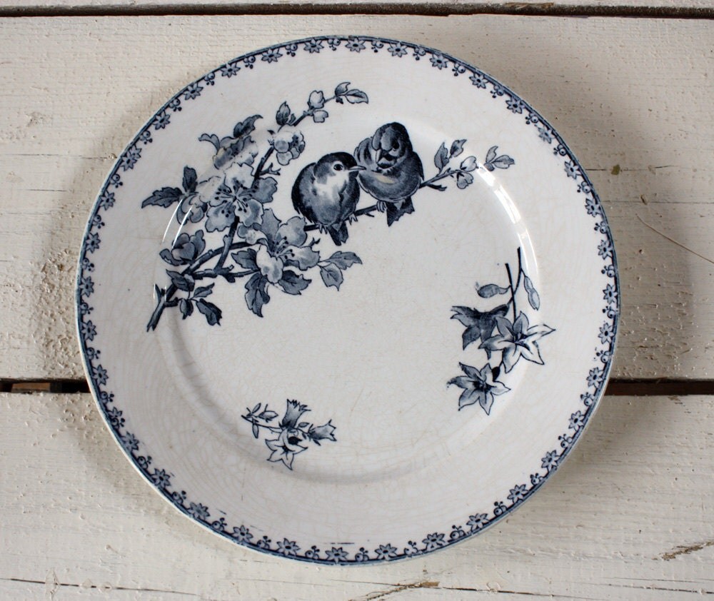 Set of 2 dinner plates French BIRDS Plates FAVORI