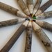 Super Big Twig Colored Pencils Made of Natural Distressed Wood