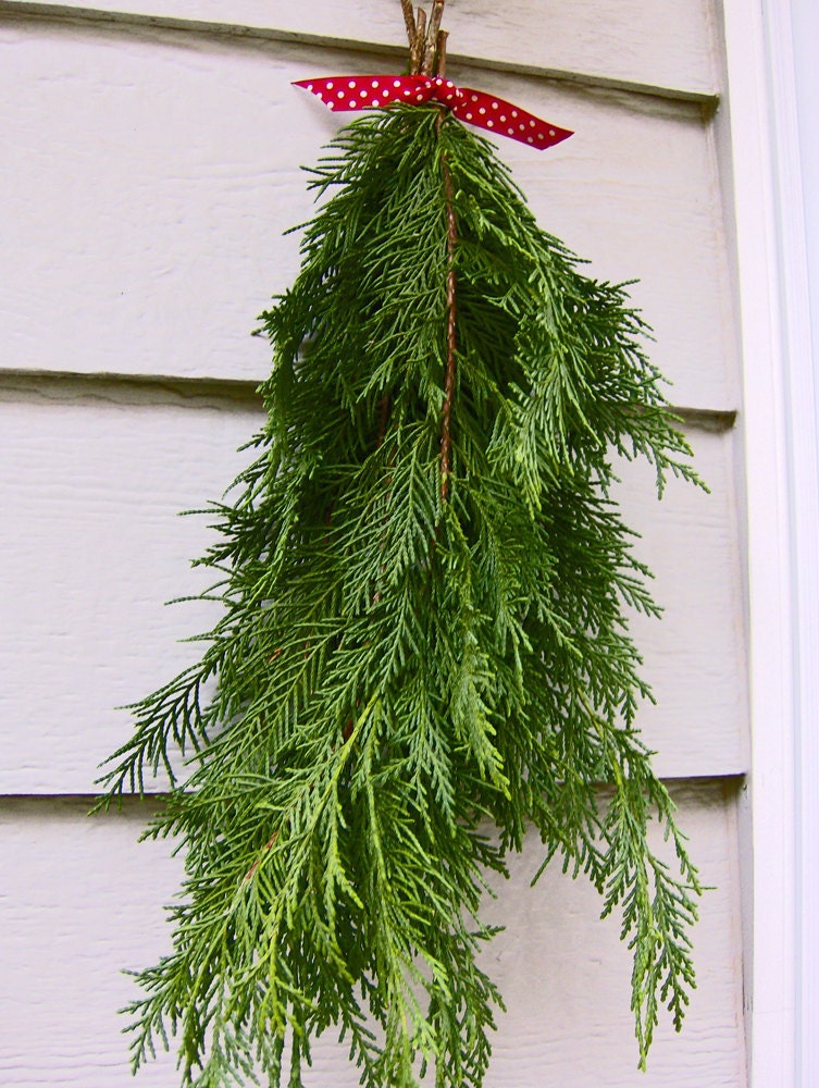 YULE WINTER SOLSTICE MagicK Fresh Cut Evergreen Cedar Bough Deck The Halls with Protection and Cleansing Blessed with Positive Energy