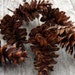 GLAZED PINE CONES for wreath making, centerpieces, rustic decorations, craft projects, glossy, lustrous