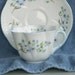 Shelley Dainty Cup and Saucer