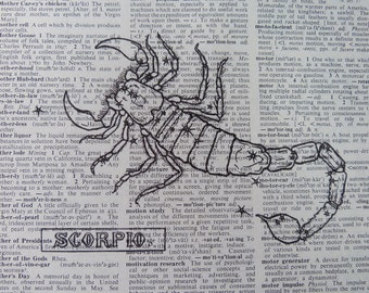 Popular items for scorpio print on Etsy
