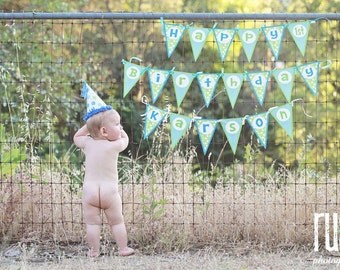 Happy Birthday Blue Green Polka Dot Stripe Pennant Banner - Ask About Our Party Pack Specials - Free Ship Over 65.00