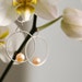 Peach Pink Pearl Hoop Earrings - Pearls in Sterling Silver - Free Shipping