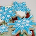 No Snowflake is Alike Hand Decorated Sugar Cookies