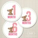 Monthly Onesie Stickers, Teddy Bear, Pink & Green, 3 inch circle stickers, professionally printed