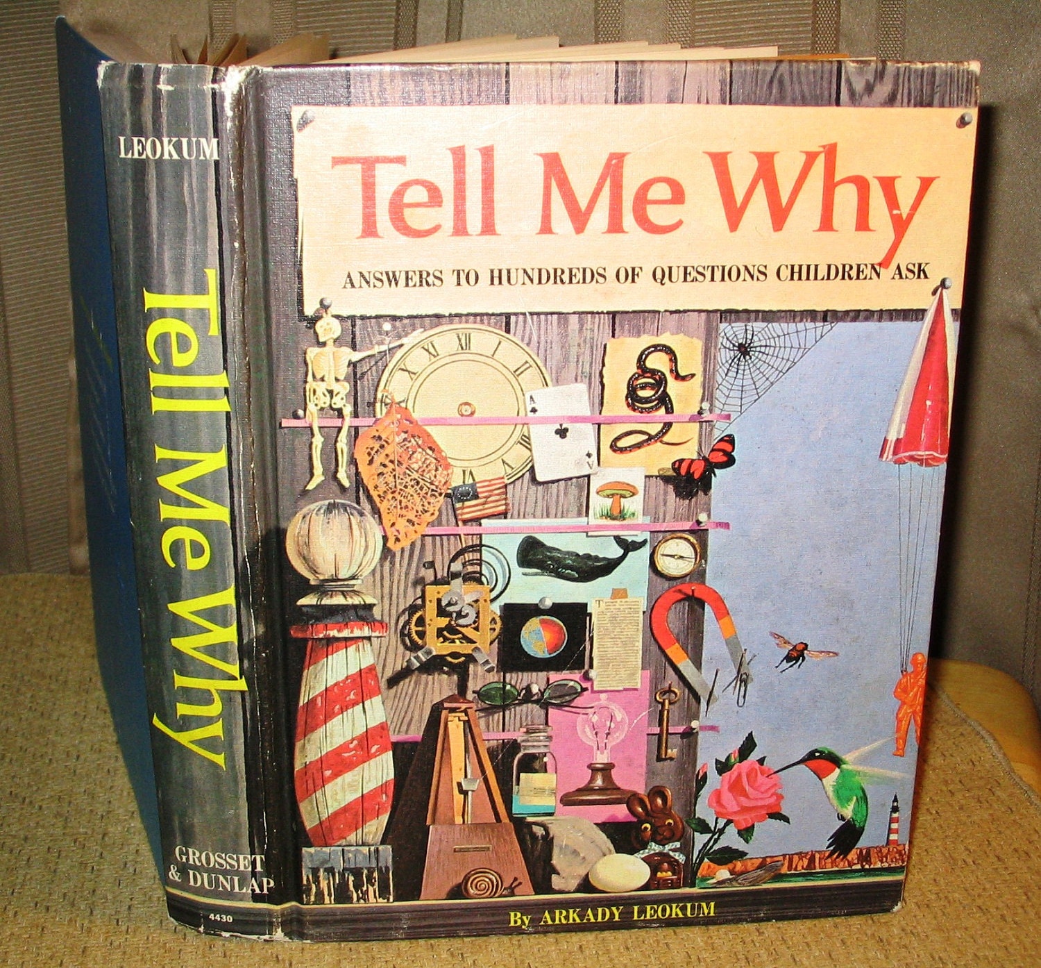 download tell me why review