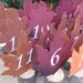 Reserved listing for Brittany Wedding Table Numbers Rustic Set of 23