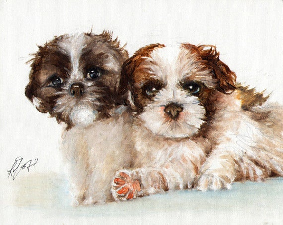 Original Oil Dog Portrait Painting SHIH TZU PUPPIES Art from