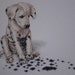 Achoo by Dimensions - Dalmatian Puppy Finished Counted Cross Stitch