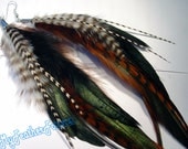 Brown black and white long grizzly feather earrings A