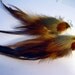 Brown black and white long feather earrings