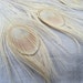White Peacock Long feathers , bulk, lot, wholesale, hair extension, white feather