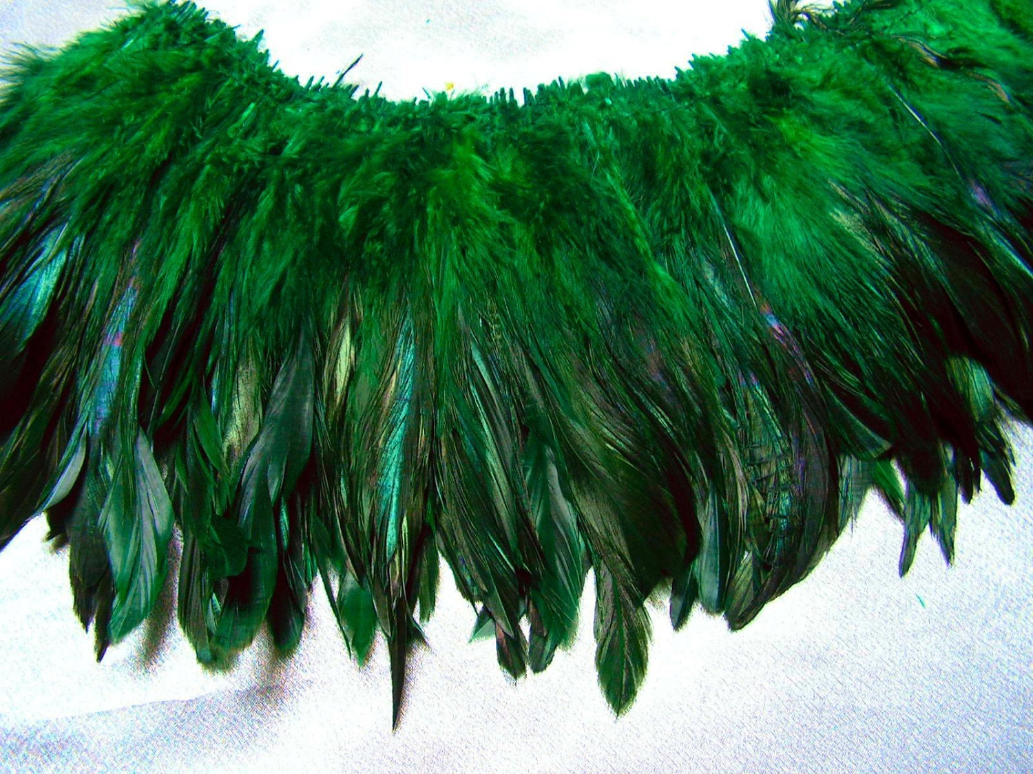 osprey feather half wing cerimony fan osprey feather half wing cerimony fan