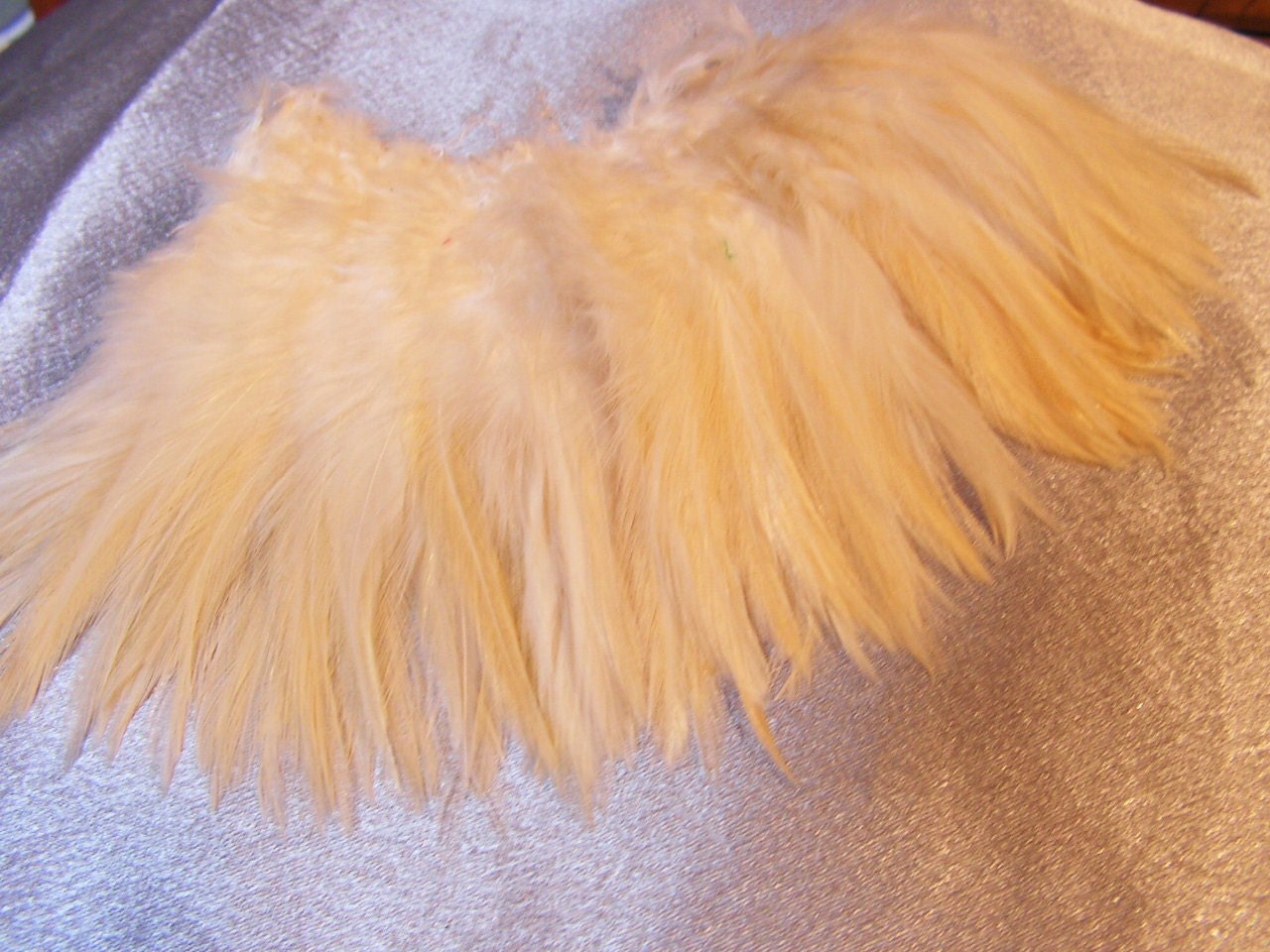 ivory rooster feathers bulk lot wholesale by FeatherAndEarth