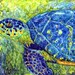 Quick FREE SHIPPING - Sea Turtle- Limited Edition Print from my Original Watercolor Painting - ebsq Artist Ricky Martin