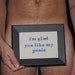I'm Glad You Like My Penis cross stitch