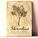 Pressed plant - Silverdust leaves in Frame (1)