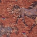 Horse Fabric, Sundance Horse Fabric, Rust Color 1 yard fabric, 01060