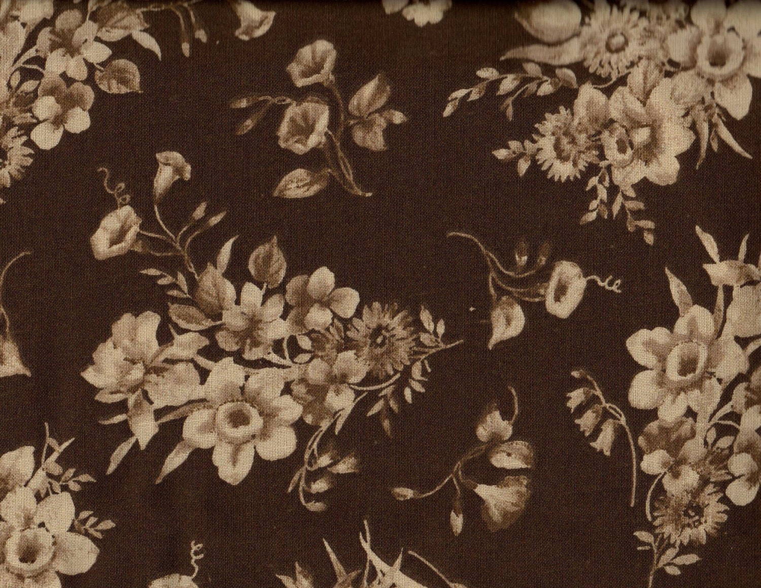 1 yard 108 Quiltbacking Brown Fabric Tan Floral