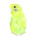 watercolor bird painting, parakeet bird art, original budgie painting, green bird, tropical - 5X7