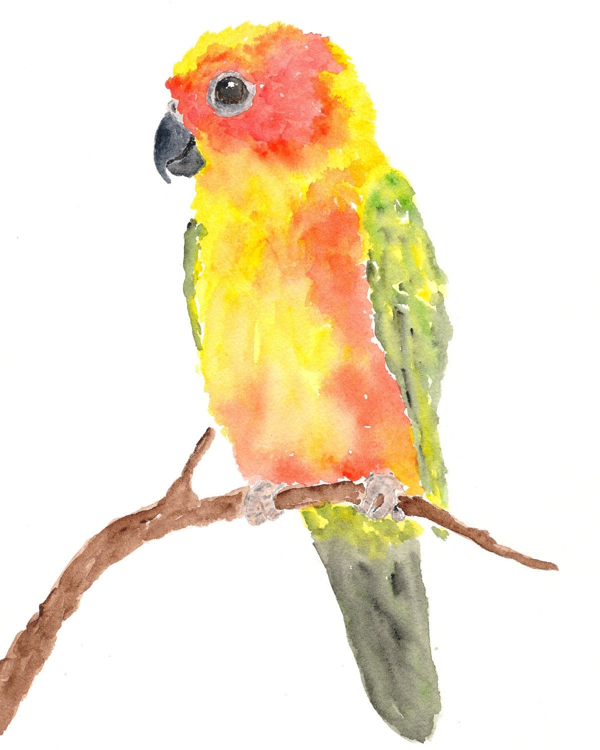 Watercolor parrot painting sun conure parrot art tropical