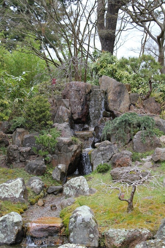 Japanese Tea Garden Waterfall--matted framed signed photo