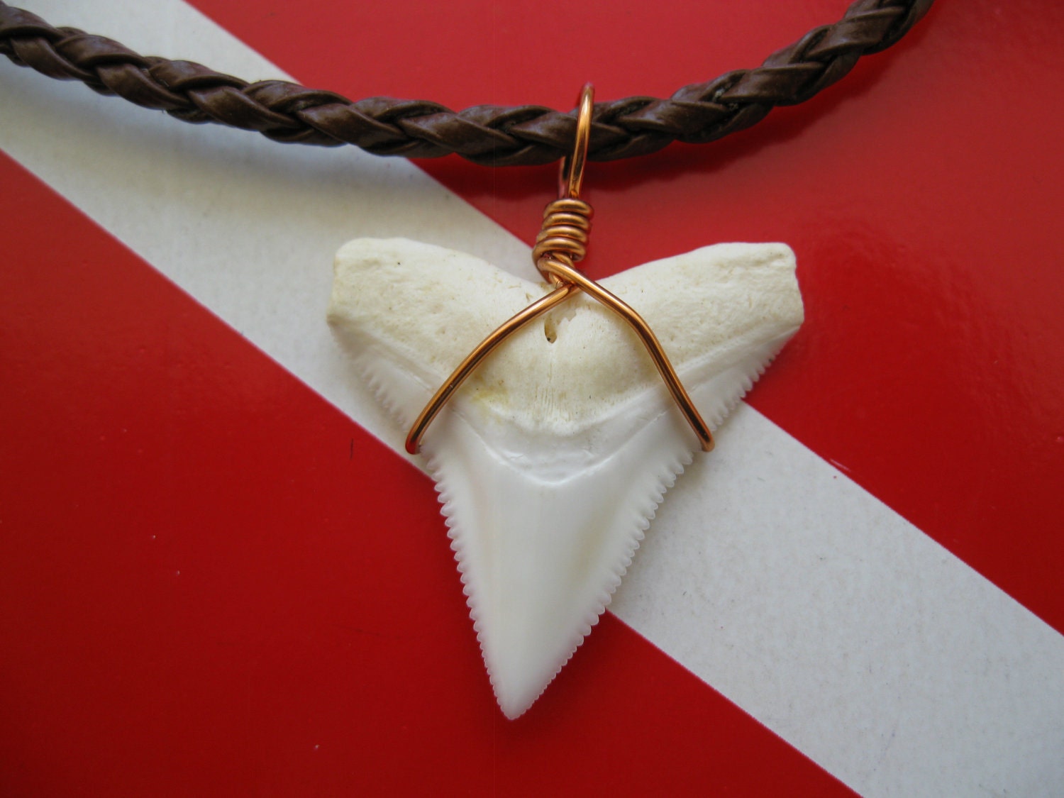 Shark Tooth Necklace Real Shark Tooth Bronze Wire Wrapped 999