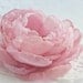 Blush Pink Cabbage Rose Chiffon Flower Brooch or Hair Clip - Pink - Blush - Romantic Bridal Hair Flower or Sash Flower - Israel