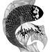 Fish drawing