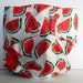 Watermelon Water Resistant PUL Diaper Cover Available in Large