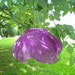 Ali Outdoor Solar-Powered Hanging Lamp in Purple (Large) - Celebrate October with FREE Shipping
