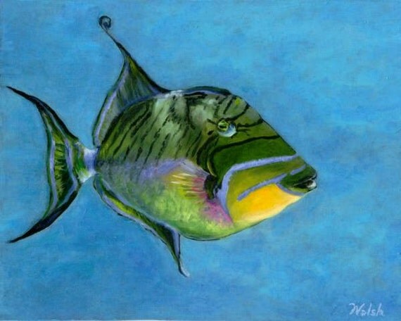 Original Oil Painting: Queen Triggerfish dappled sunlight