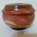 Pet Urn 461