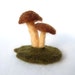 Needle felted woodland mushrooms fungi spring decor