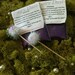 Fairy Dust: lavender fairy