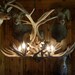antler chandelier