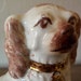 staffordshire dog bookends staffordshire dog bookends