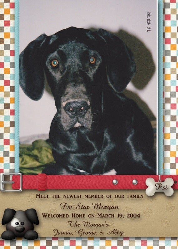 Items similar to Pet Announcement - New Dog, New Puppy, Pet adoption