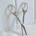 Grape scissor fruit snips ornate silver plate vintage Swedish
