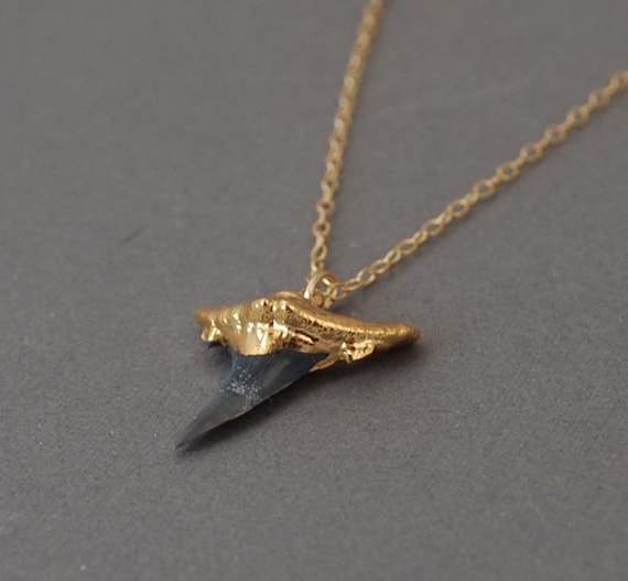 Small Gold Black Shark Tooth Necklace