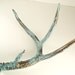 Bronze Natural Patina Deer Antler Art Sculpture