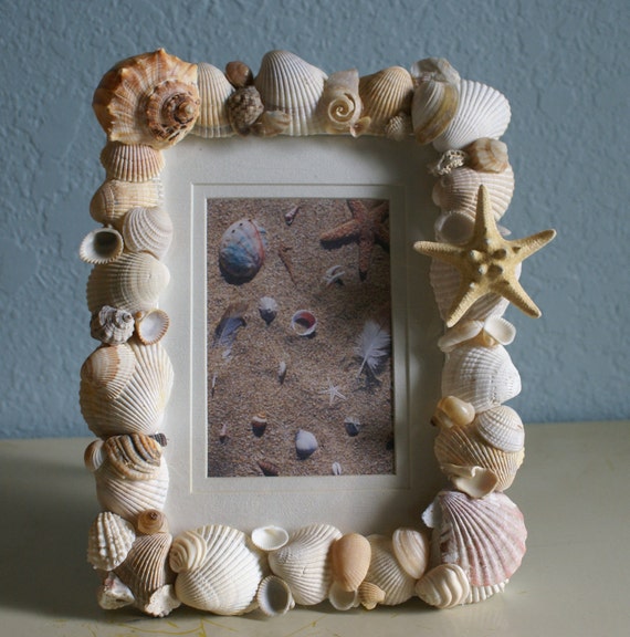 Seashell picture frame home decor sea shell photo natural