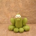 Green Garden Frog