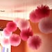 Set of 7. Tulle Poms