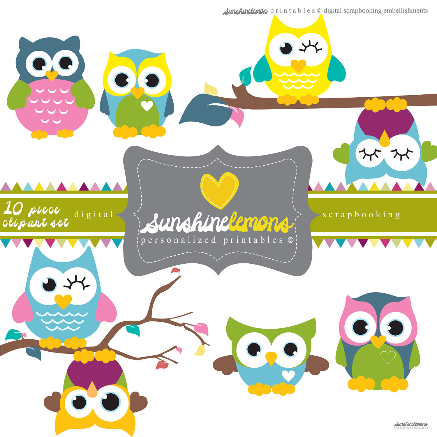 Cute Owl Clipart 10 piece clipart set by SunshineLemons on ...
