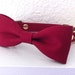 Burgundy Bow Tie Collar for Dogs