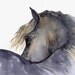 horse painting "Looks Twice" giclee print of original watercolor painting